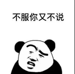  表情包说了你又不听,听了你又不懂,懂了你又不做