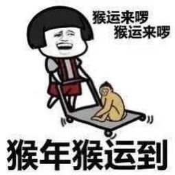  金馆长