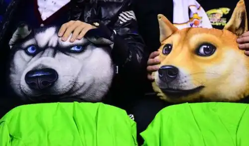  她们比初三家长更焦虑,暑假必须让孩子做这件事