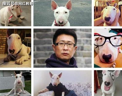  有种颜值叫林永健女儿,国人吐槽丑,外国人却把她捧成女神