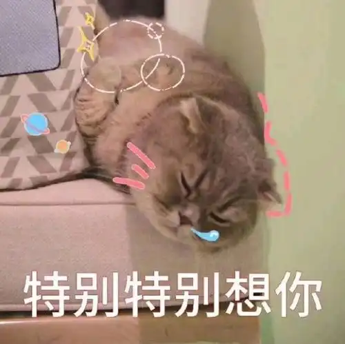  幽默笑话我们学校食堂的伙食很一般