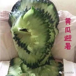 这么奇葩的避暑方法你见过吗一大波避暑搞笑图片来袭