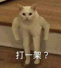  蕉蕉旅行万物生视频直播全集蕉蕉旅行万物生资料大全yy官方