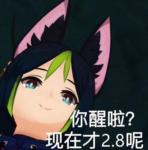  原神提纳里3.1加入常驻池,新pv角色都是五星,卡台阶终于修复