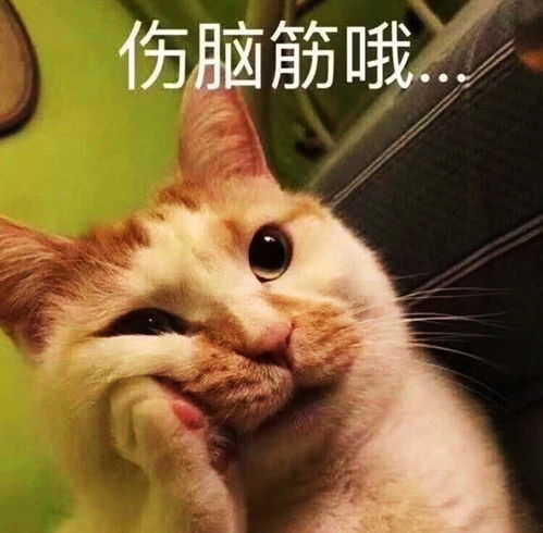  肖战不减了,吃面包去,仪式感该有多强,小面包都有周年庆
