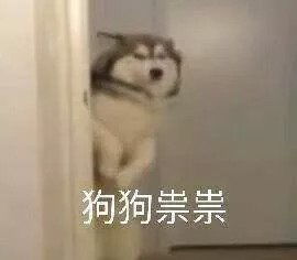  知道为什么你是个胖砸嘛那是因为你不知道老干妈减肥法