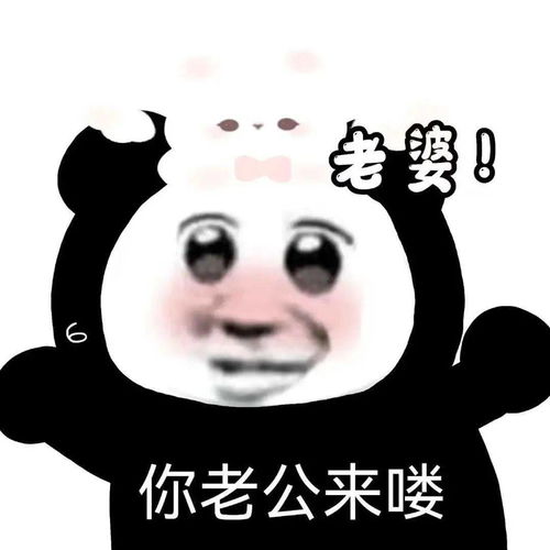  日常斗图熊猫头表情包