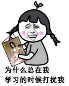 生日斗图表情包自考