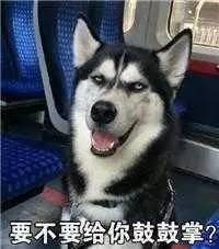  2017年年度网上四大闲人,哈哈哈,都是神经病啊
