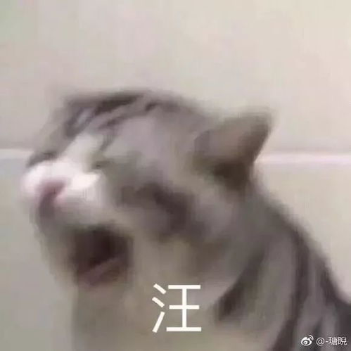  乐分享寒假在家,你能为爸妈做的10件小事