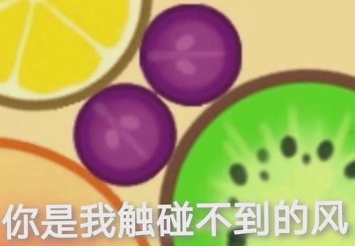 表情包大作战合成版本天