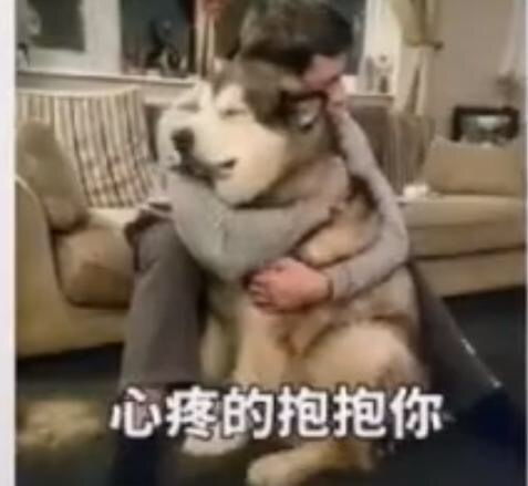  很难受,因为自己剪了短发,到处被问性取向甚至问我性别,短发女生怎么你们了