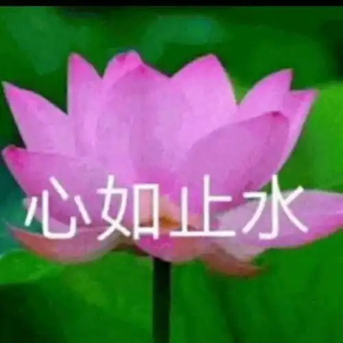 当代大学生面临ddl都做了些什么 当代大学生面临ddl都做了些什么