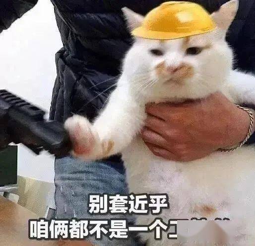  抖音热门表情包i可以玩男友版摇摇车吗