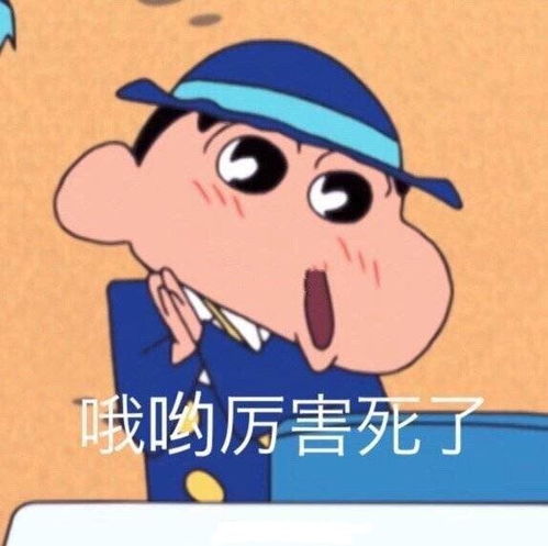 求求了表情包蜡笔小新