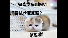  外国父亲得知妻子怀三胞胎后,全是表情包,激动地说不出话来