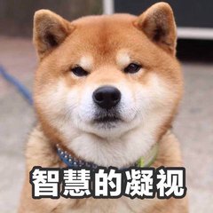  这只狗叫什么求这只狗的表情包