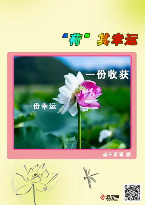 2024高考考生们,愿好运荷你相伴 2024高考考生们,愿好运荷你相伴