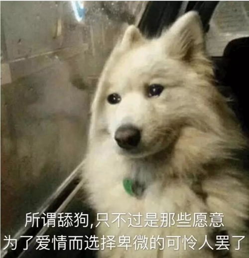  高中时期你喜欢的女生现在怎么样了