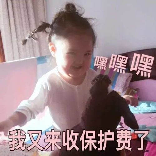  壁纸头像生活已经这么难了,人生需要欢乐so来一波表情包嘿嘿