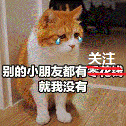  狗狗和它的鹦鹉损友鹦鹉热衷喂狗,狗狗胖二十斤到站不起来