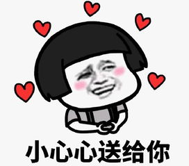  向往的生活小结篇
