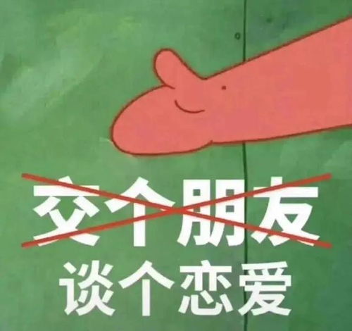  表情包快落我的袜子可爱吗
