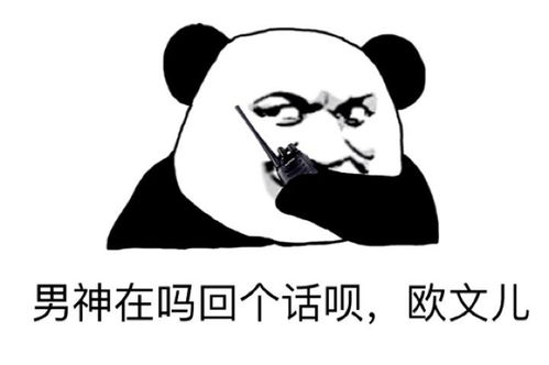  自制表情包存储