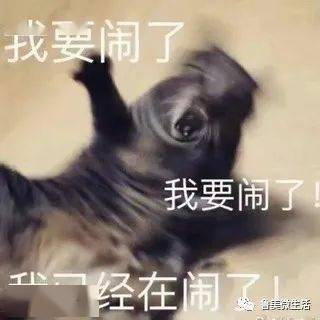  lafaers大学生活初体验之一周打卡