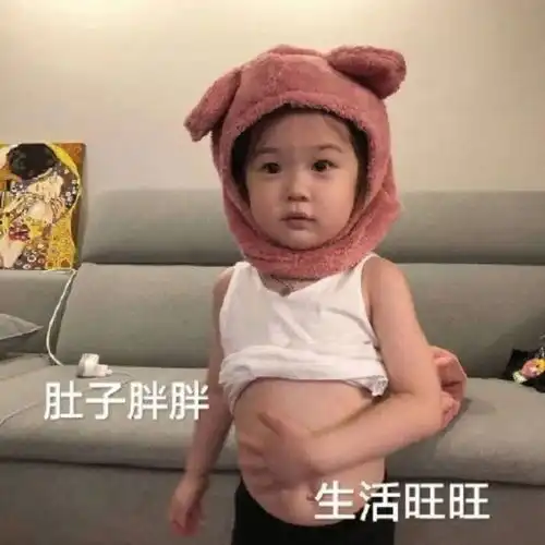  表情包肚子胖胖,生活旺旺