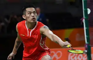 林丹12遭阿萨尔森逆转无缘羽球男单奖牌 林丹12遭阿萨尔森逆转无缘羽球男单奖牌