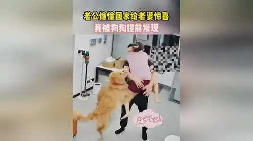 老公偷偷回家给老婆惊喜,竟被狗狗提前发现狗子我也要抱抱 老公偷偷回家给老婆惊喜,竟被狗狗提前发现狗子我也要抱抱