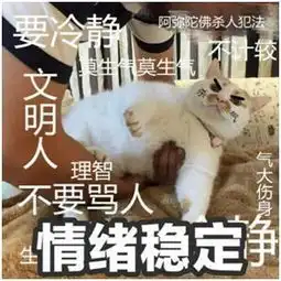  愿你在喵星永远幸福