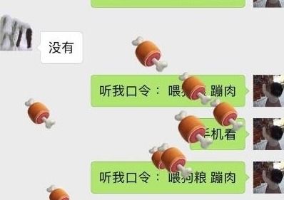  喂狗粮表情包微信特别版微信喂狗粮表情包下载腾牛下载
