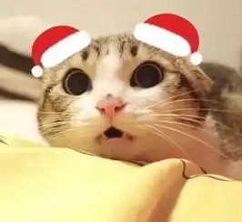 没换圣诞帽头像没吃苹果馅饺子,你还过啥平安夜圣诞节 没换圣诞帽头像没吃苹果馅饺子,你还过啥平安夜圣诞节