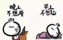 有没有关于睡觉的搞笑图片 有没有关于睡觉的搞笑图片