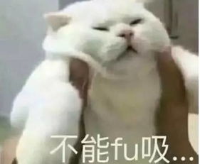  赤峰多名保安在路边飞踹一名送水工丨二欢叭新闻