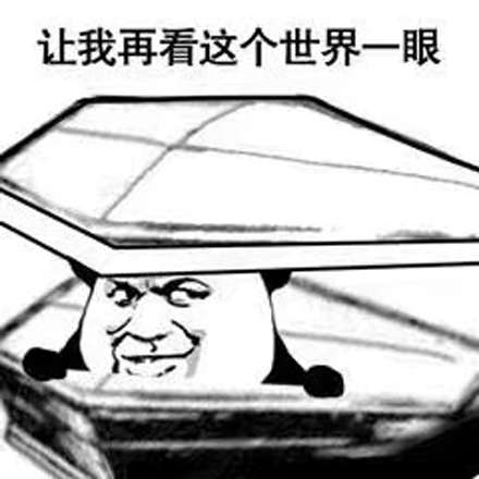  安排表情包图片大全被安排得的明明白白进棺材