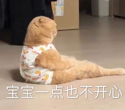 萌宠表情包宝宝一点也不开心 萌宠表情包宝宝一点也不开心