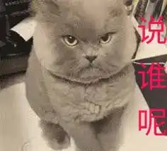 天才引导历程之牛顿的故事 天才引导历程之牛顿的故事