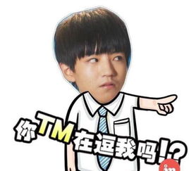  谁有tfboys的表情包,越多越好
