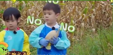  爸爸5收官,小甜馨成为下一季最期待的表情包,呼声最高是周董快资讯
