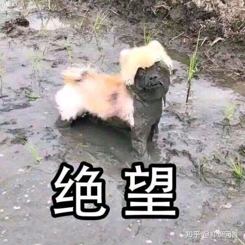  修正的痘肌修护柚子凝胶好用吗