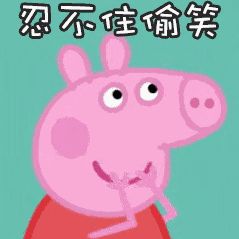 表情包网红小姐姐小猪佩
