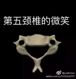  用一个表情包来形容你的专业