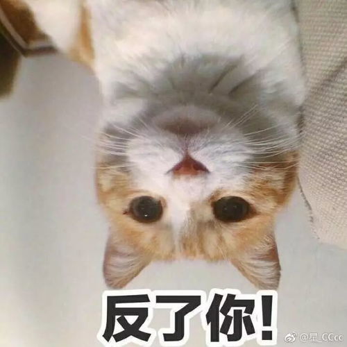  长痘还化妆的你,可能成了细菌培养皿