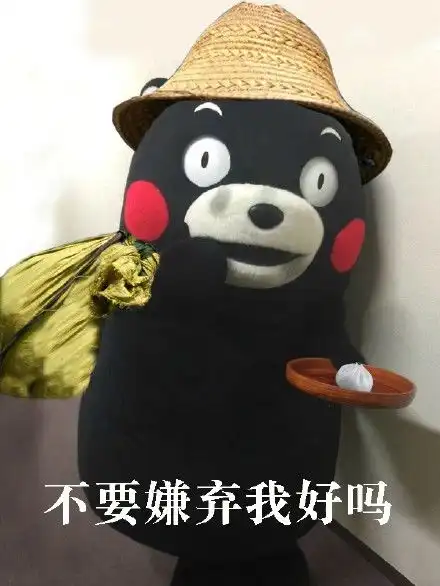 过气网红要饭表情包 过气网红要饭表情包