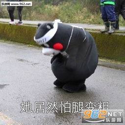  你跟胖子说什么不能吃他都照吃表情包胖子为什么会胖的原因表情包下载乐游网游戏下载