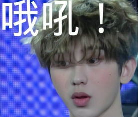  蔡徐坤被cos,周围人的表情是亮点,果然是快乐源泉