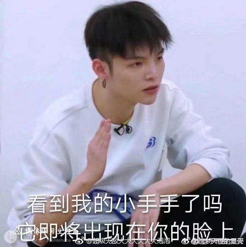 蔡徐坤表情包动图跑男尖